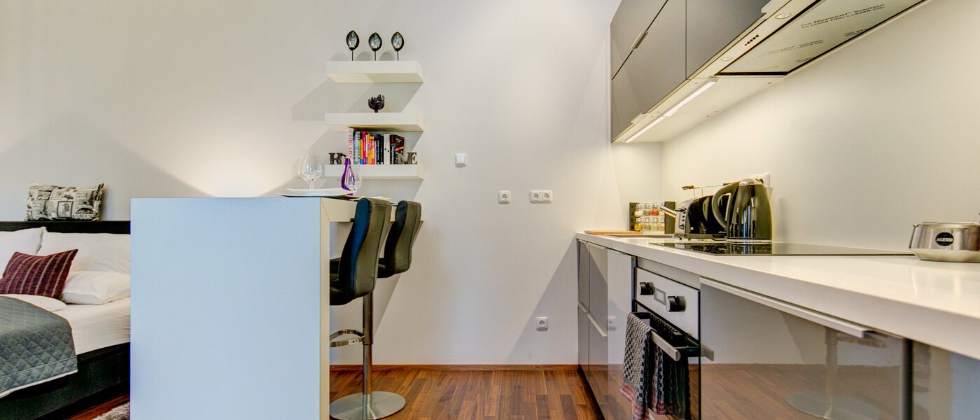 квартира München Ludwigsvorstadt 01 кухня 9771