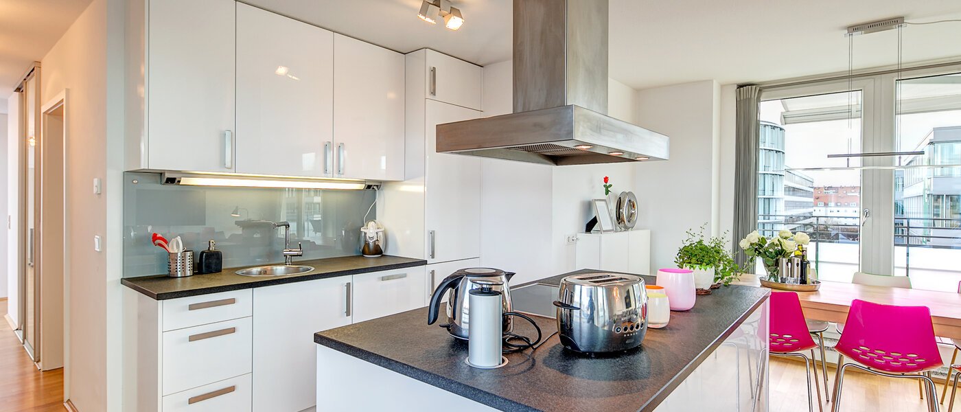 квартира-пентхаус München Obergiesing 01 кухня 9778