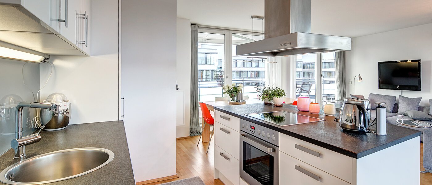 квартира-пентхаус München Obergiesing 02 кухня 9778