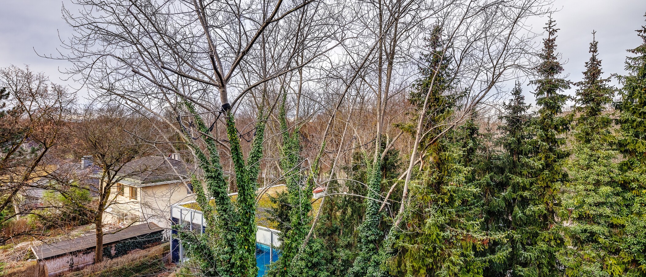 квартира München Schwabing-Nord (zw. Leopoldstraße & Englischen Garten) 01 вид из окна 9789