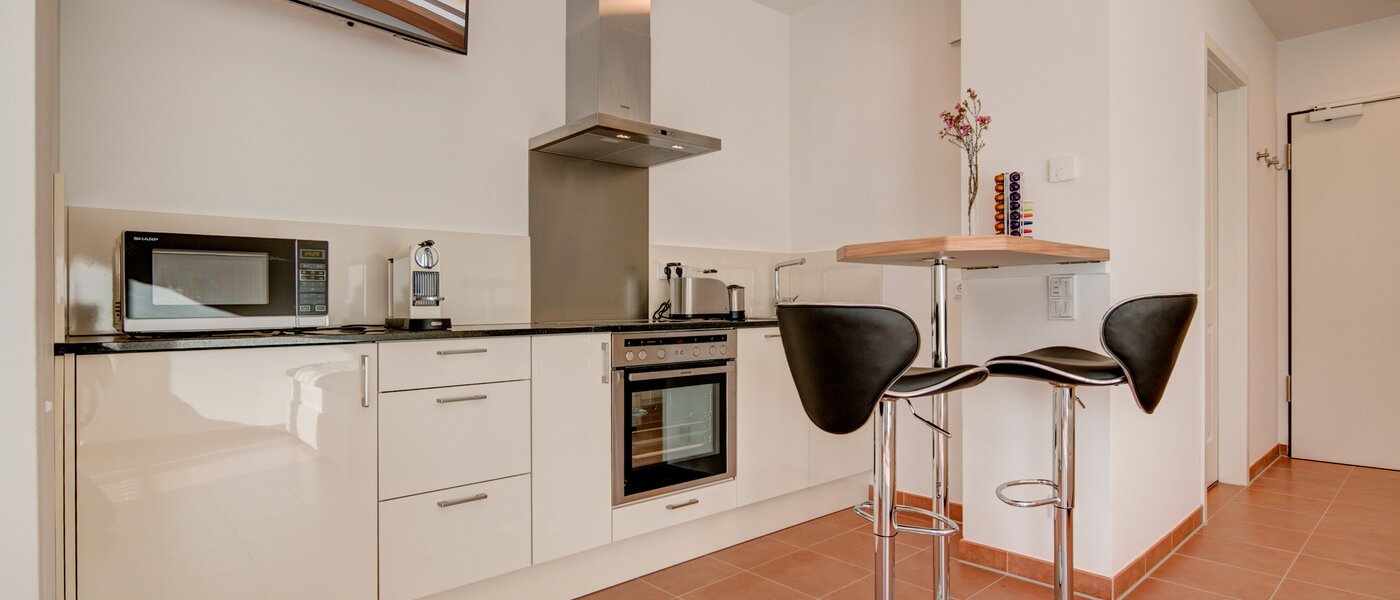 квартира München Isarvorstadt 01 кухня 9891