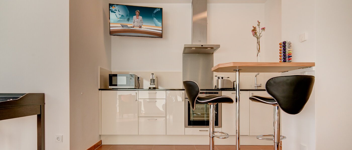 квартира München Isarvorstadt 02 кухня 9891