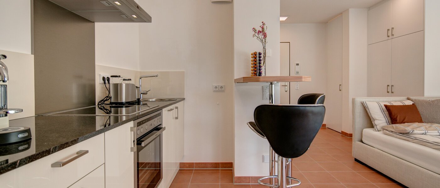 квартира München Isarvorstadt 03 кухня 9891