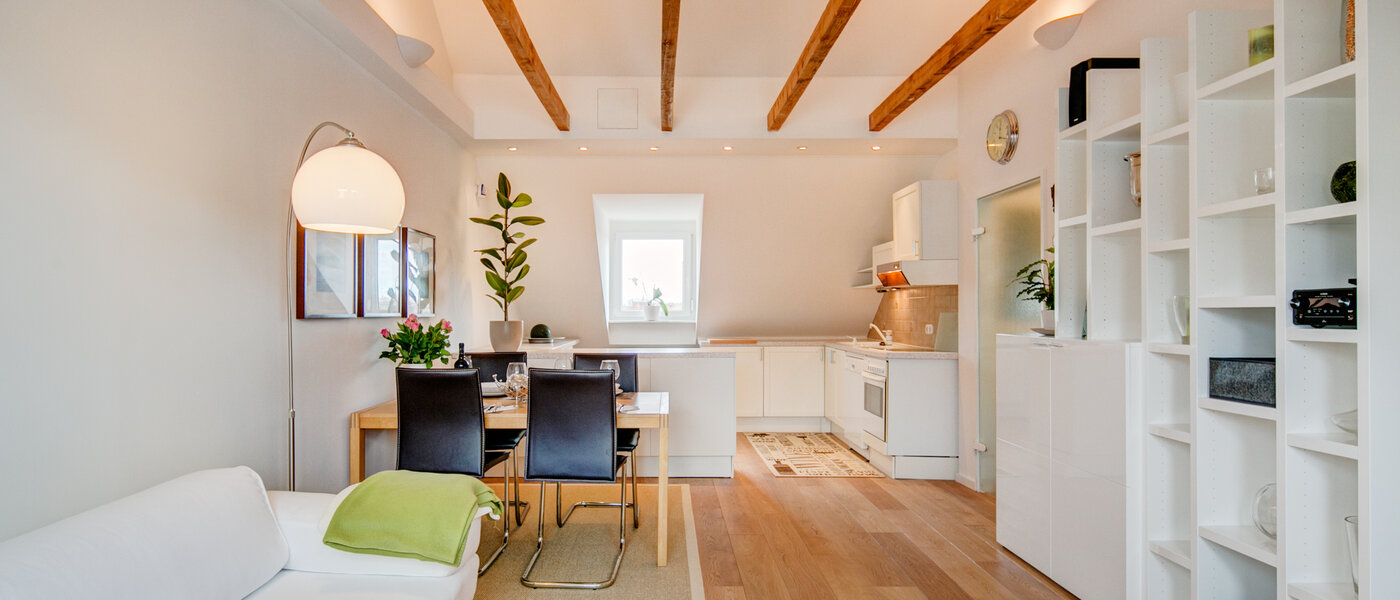 мансардная квартира München Thalkirchen 01 гостиная 9893