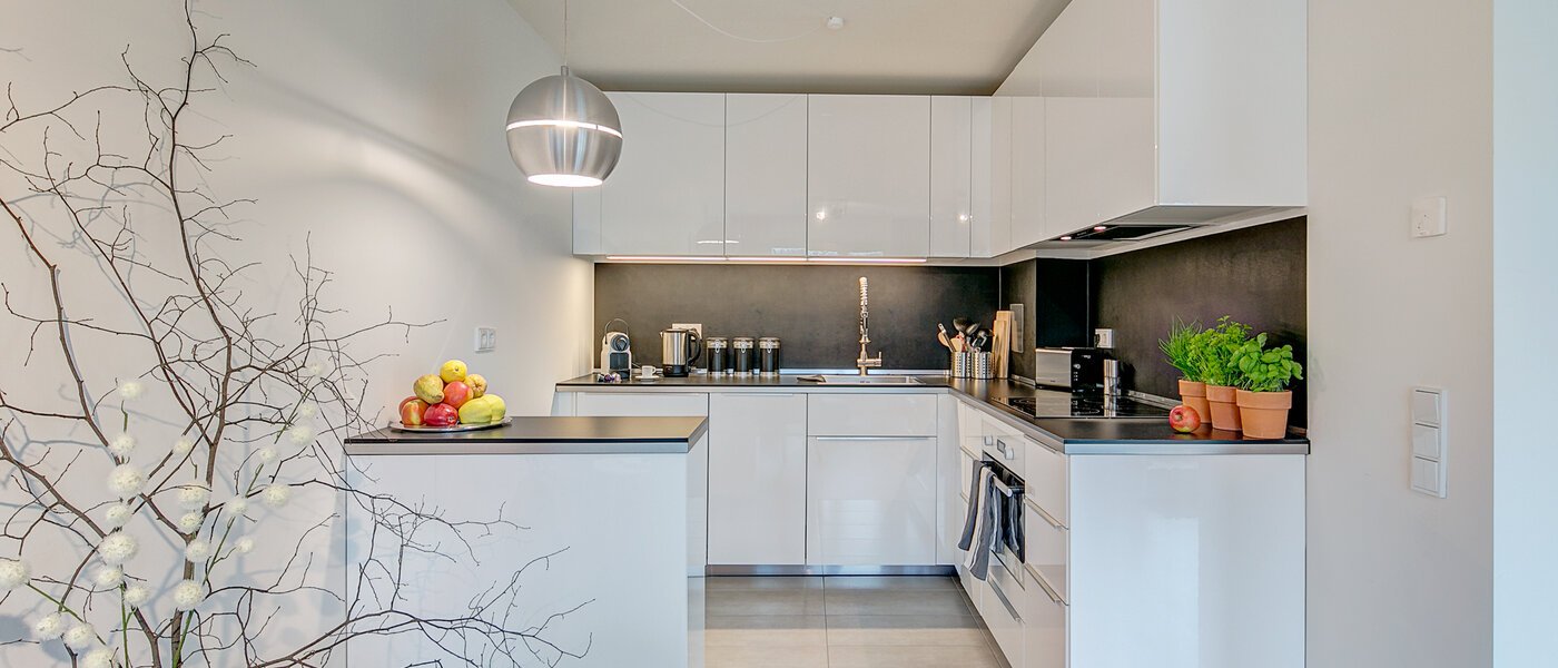 квартира München Schwabing-Georgenschwaige 01 кухня 9904