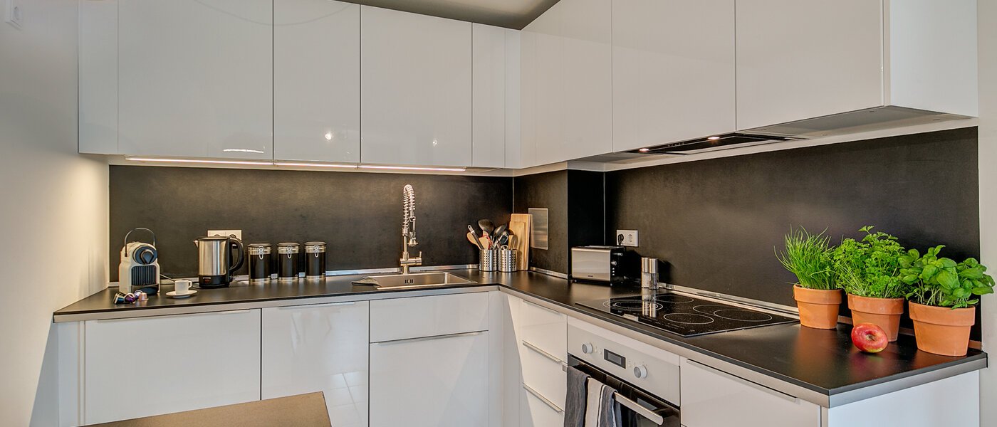 квартира München Schwabing-Georgenschwaige 02 кухня 9904