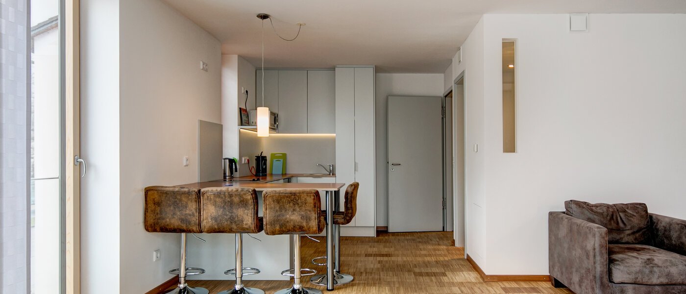 квартира Unterschleißheim Lohhof 05 гостиная 9906