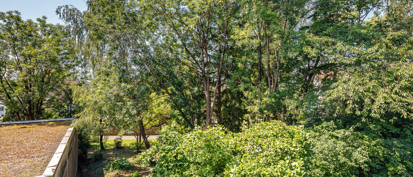 квартира München Moosach 02 вид из окна 9941