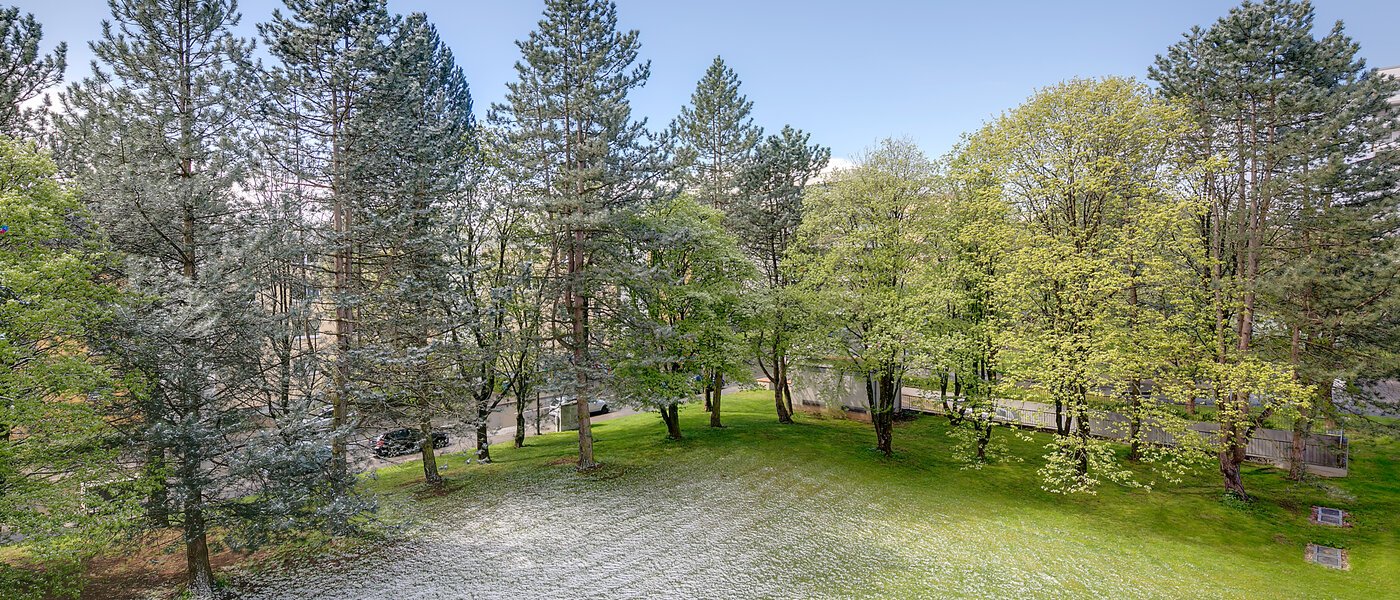 квартира München Ramersdorf 02 вид из окна 9990