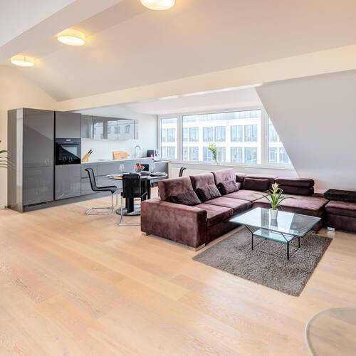 мансардная квартира с 2 комнатами | Мюнхен-Maxvorstadt | 14568