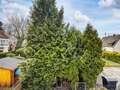 квартира Karlsfeld 02 вид из окна 12975