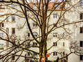 квартира München Lehel 04 вид из окна 14254