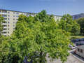 квартира München Parkstadt Bogenhausen 02 вид из окна 14554