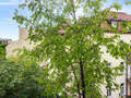 квартира München Schwabing-West 01 вид из окна 14894