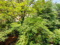 квартира München Schwabing-West 02 вид из окна 2711